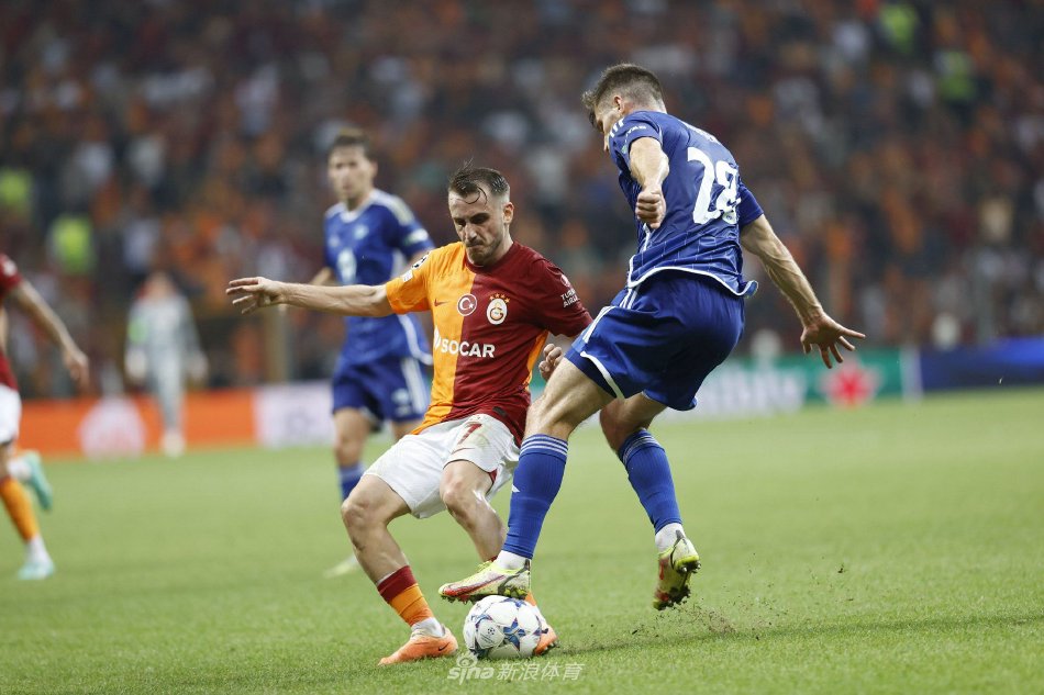 擎收录和排 擎收录和排