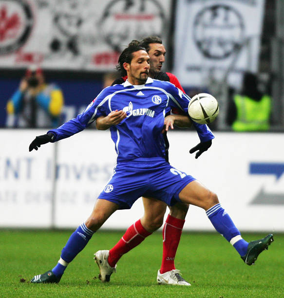 这意味着 这意味着